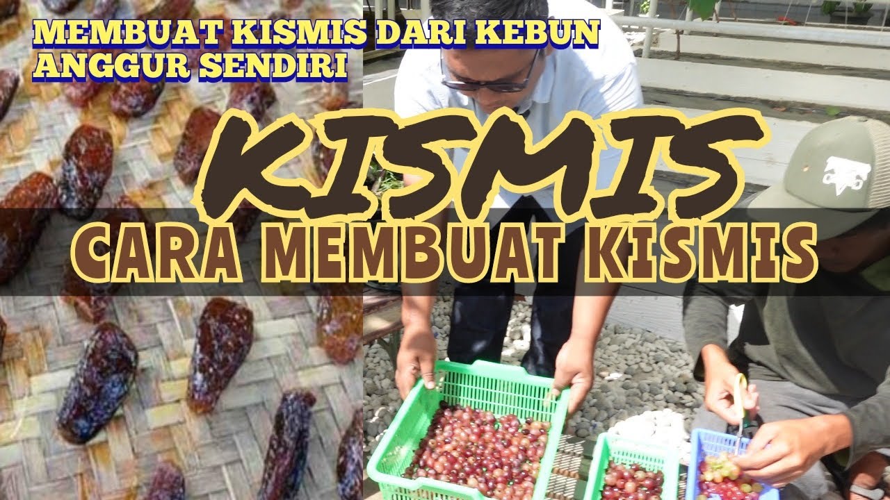 Bahan Dasar