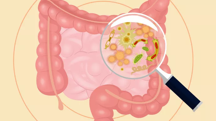 Kesehatan Pencernaan: Kenali Dan Jaga Mikrobioma Usus