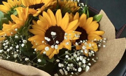 4 Bunga Paling Romantis Ini Hadirkan Makna Yang Mendalam Loh