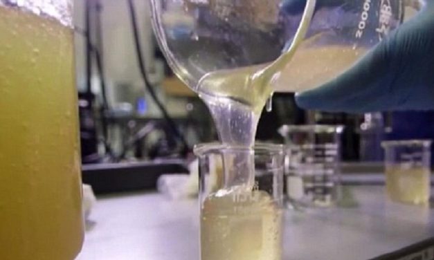 Gel Pintar Nanoteknologi Ini Sukses Hentikan Pendarahan