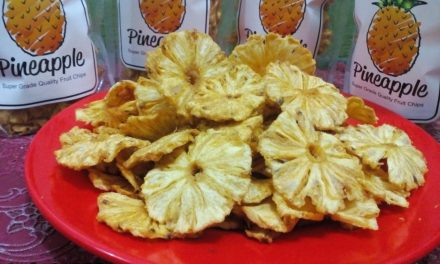 Mengenal Keripik Nanas Cemilan Dengan Rasa Khas