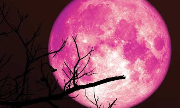 Strawberry Moon Hiasi Langit Indonesia Malam Ini, Mari Menikmati