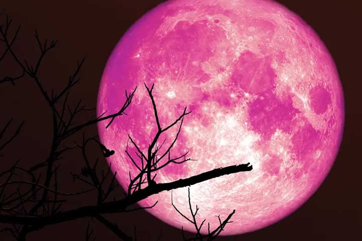 Strawberry Moon
